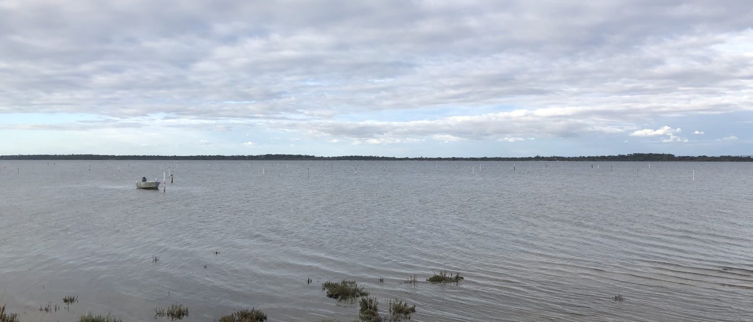 In better times, the Peel Estuary is a peaceful escape
