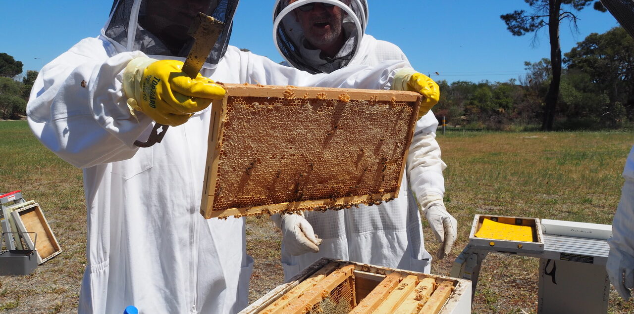 Trainee beekeepers attending a WAAS training course.WAAS